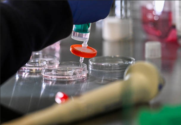 How to Reduce Cell Loss During Repeated Cell Culture Wash Steps