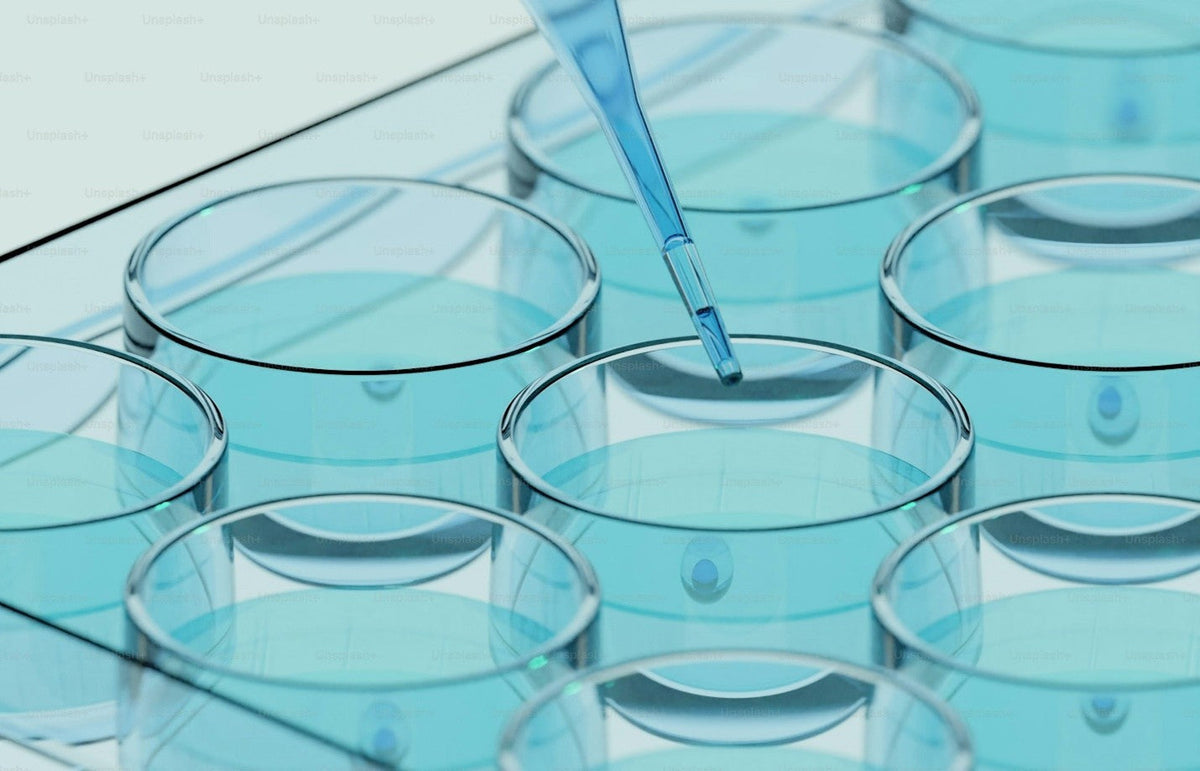 How to Choose Workflow Reagents That Reduce Carryover in Cell Handling Steps