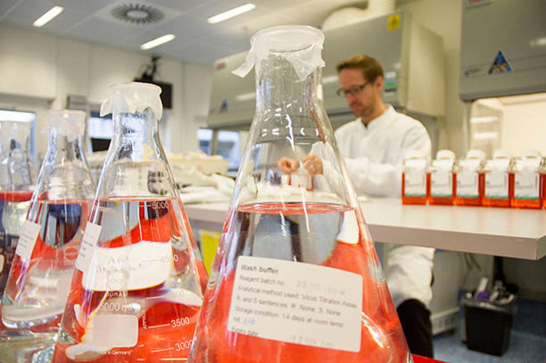 How to Compare Lab Reagent Stores for Regulated Research Workflows