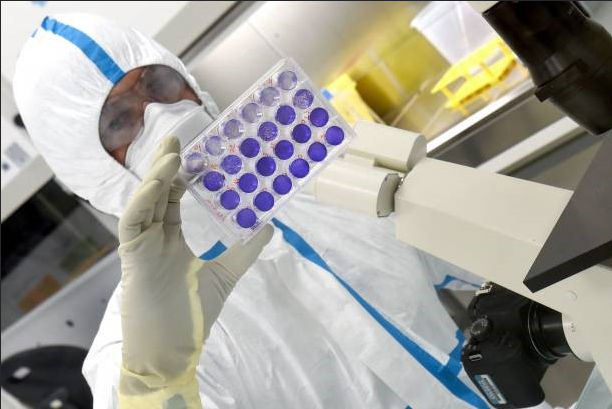 How to Transition Adherent Cells to Serum-Free Media Without Losing Attachment