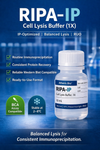 RIPA-IP Cell Lysis Buffer (1X)