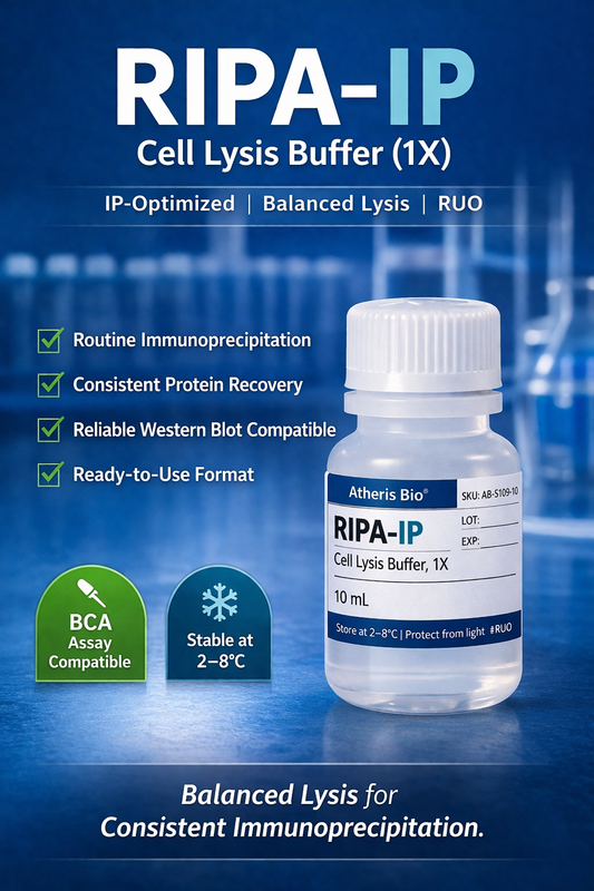 RIPA-IP Cell Lysis Buffer (1X)