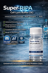 Super-RIPA Cell Lysis Buffer (1X)