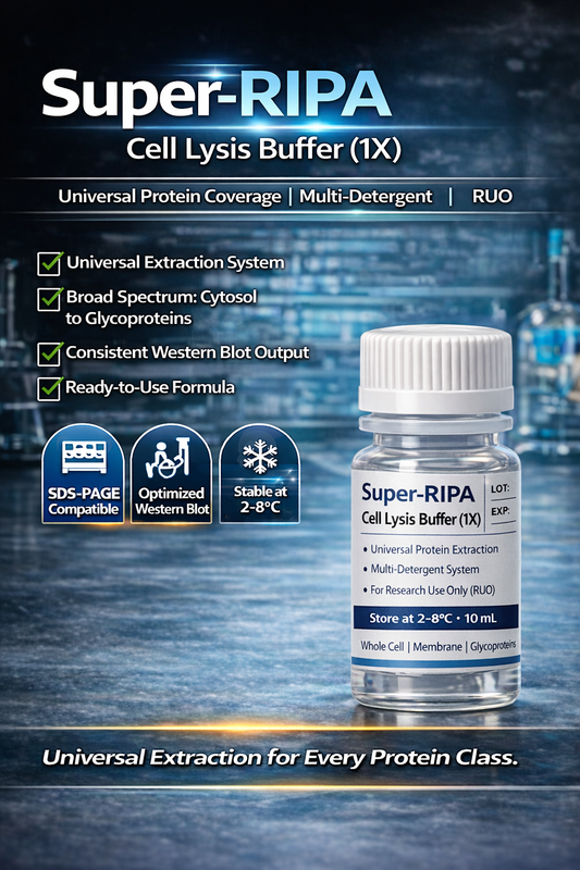 Super-RIPA Cell Lysis Buffer (1X)