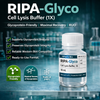 RIPA-Glyco Cell Lysis Buffer (1X)