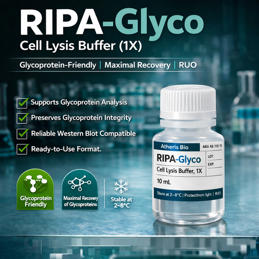 RIPA-Glyco Cell Lysis Buffer (1X)