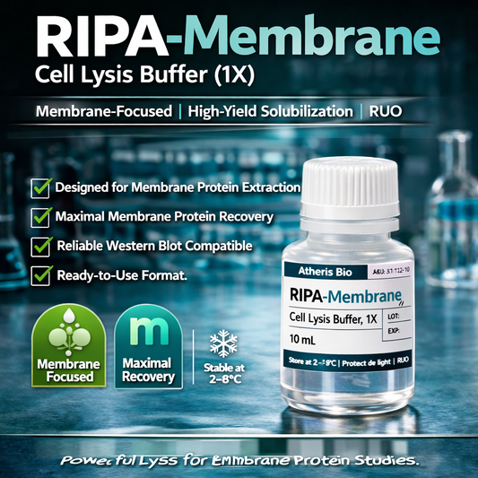 RIPA-Membrane Cell Lysis Buffer (1X)