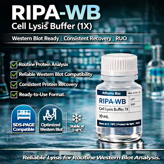 RIPA-WB Cell Lysis Buffer(1X)
