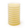 MBE Agar